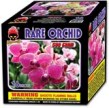 Rare Orchid
